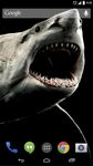 Shark 3D Live Wallpaper image 2