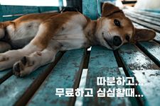 심심톡 (건전톡) - 랜덤채팅의 스크린샷 apk 3