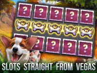 Casino Slot Machines image 1
