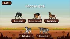 Doggy Dog Universe Bild 10