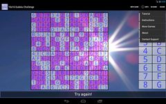16x16 Sudoku Challenge HD ekran görüntüsü APK 2