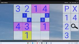 16x16 Sudoku Challenge HD ekran görüntüsü APK 14