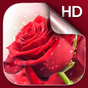 APK-иконка Красные Розы Живые Обои ХД