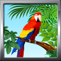 Tonos De Aves APK