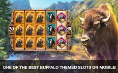 Картинка 1 Golden Buffalo Slots