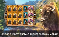 Картинка 6 Golden Buffalo Slots