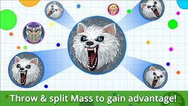 Agar.io ekran görüntüsü APK 17