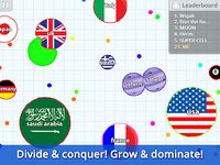 Agar.io capture d'écran apk 11