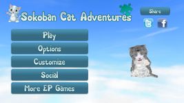 Imagen 3 de EP Sokoban Cat Adventures