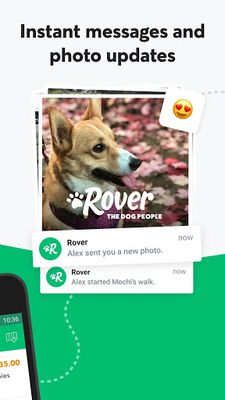 Rover Image 2 - Dog Boarding & Walking