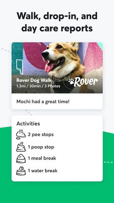 Rover Image 1 - Dog Boarding & Walking