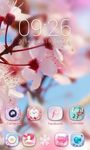 (FREE) Aroma 2 In 1 Theme Bild 5