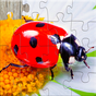 Kids Games Bugs Jigsaw Puzzles
