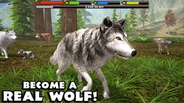 Captură de ecran Ultimate Wolf Simulator apk 5