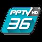 PPTVHD36