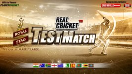 รูปภาพที่ 4 ของ Real Cricket™ Test Match