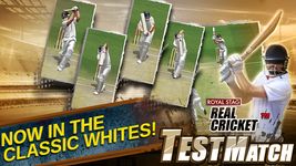 รูปภาพที่ 2 ของ Real Cricket™ Test Match