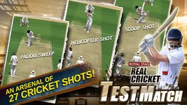 รูปภาพที่  ของ Real Cricket™ Test Match