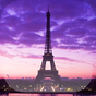 Paris Live Hintergrund APK Icon