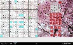 The Big Sudoku screenshot apk 8