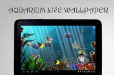 Картинка  3D Aquarium Live Wallpaper