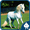 imagen horses jigsaw puzzles 0mini comments