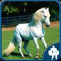 Ícone do apk Cavalos Jigsaw Puzzle