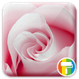 Rose ASUS ZenUI Theme