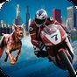 Zombie City: Bike Racing apk icono