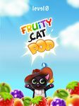 Fruity Cat  - bubble pop のスクリーンショットapk 7