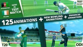 Tangkapan layar apk World Cricket Championship 2 9