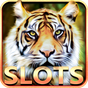 Slot Machine : Wild Cats apk icon
