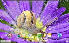 Скриншот 2 APK-версии Дождливые Цветы Живые Обои