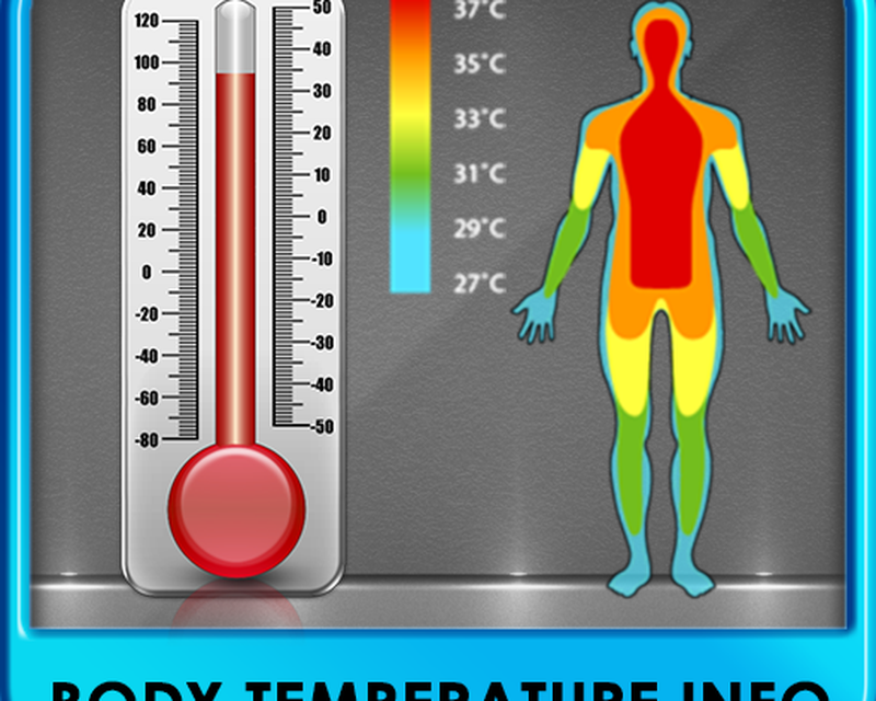 Температура тела. Температура человека. Температура тела картинки. Body temperature. Прием пищи температура тела