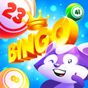 Bingo Raccoon APK Simgesi