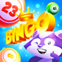 Bingo Raccoon APK