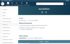 Скриншот 13 APK-версии Dictionary - Merriam-Webster