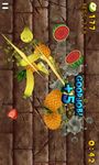 Imagem 3 do Fruit Slice