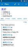 Pleco Chinese Dictionary capture d'écran apk 14