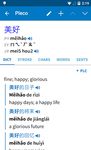 Pleco Chinese Dictionary screenshot APK 14