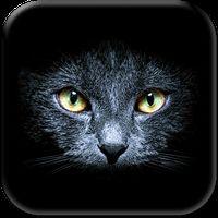 Chats Noirs Fond D Ecran Anime Apk Telecharger App Gratuit Pour Android