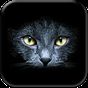 Schwarze Katzen Hintergrund APK Icon