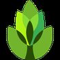 Ikona GardenAnswers Plant Identifier
