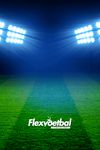 Flexvoetbal screenshot APK 7