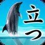 Can Dolphin Stand? 图标