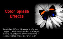 Color Splash Effects captura de pantalla apk 