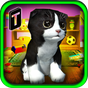 APK-иконка Cat Frenzy 3D