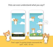 헬로펫(HelloPet) - 귀염폭발! 소셜펫의 스크린샷 apk 12