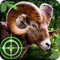 Vahşi Avcı - Wild Hunter 3D Simgesi