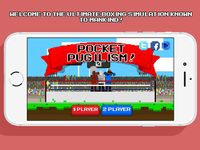 Pocket Pugilism Boxing Physics obrazek 5